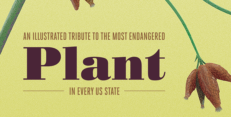 An Illustrated Tribute to the Most Endangered Plant in Every US State